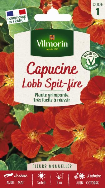 Fleurs - Capucine de Lobb Spit-fire  - PACKAGING_RECTO